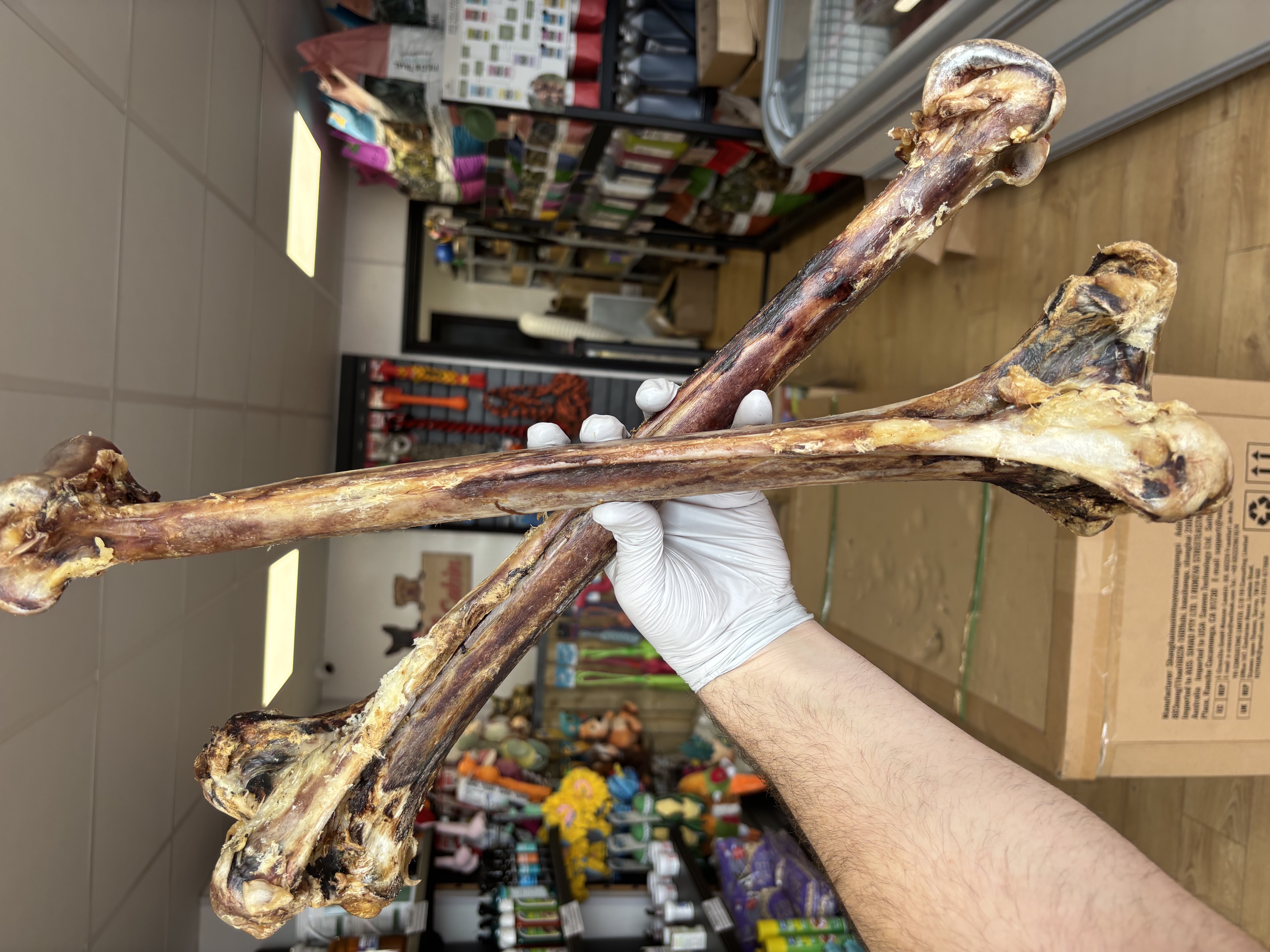 XL Ostrich Bone 
